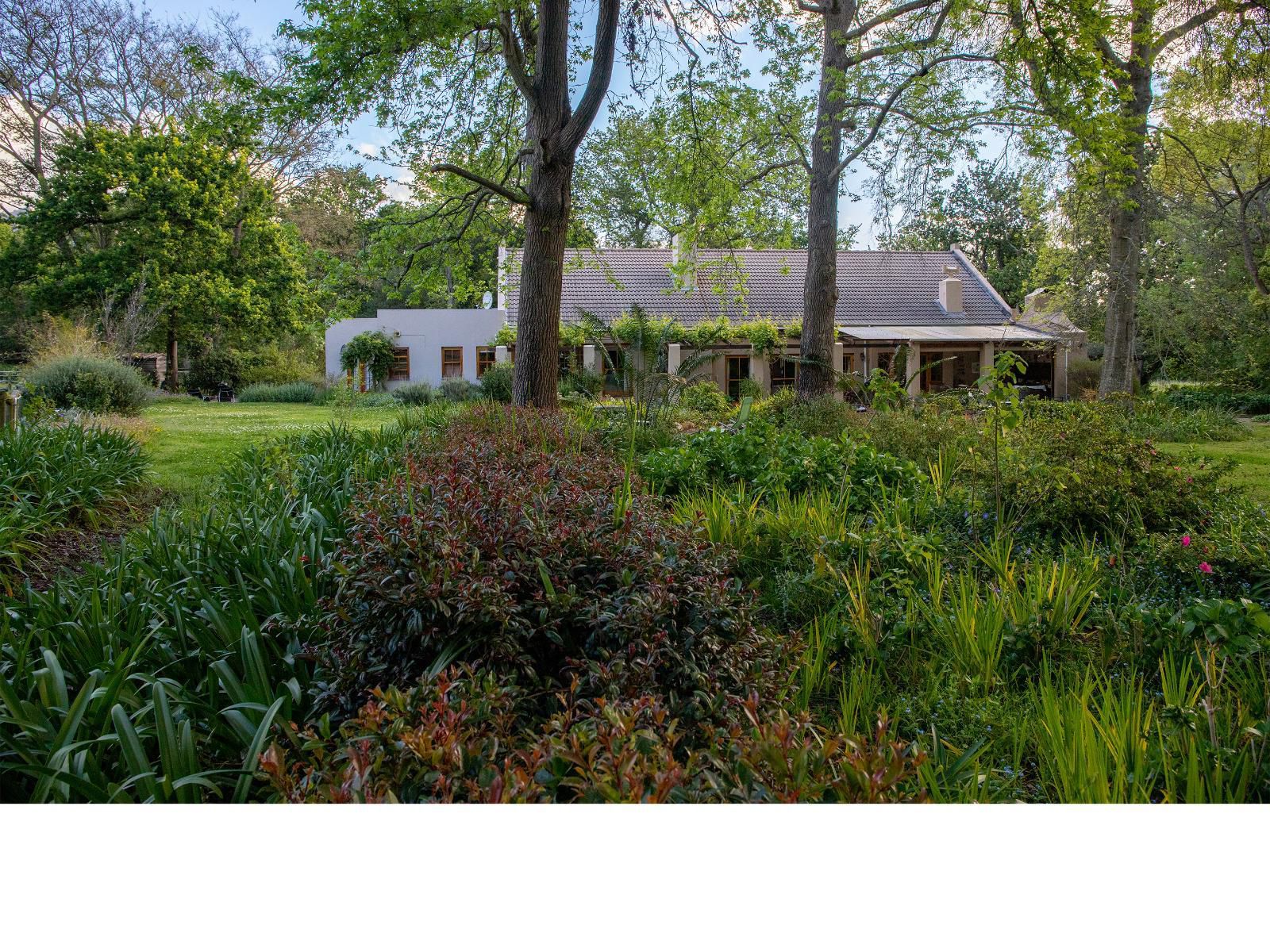 Languedoc Farm Stellenbosch Western Cape South Africa House, Building, Architecture, Plant, Nature, Garden