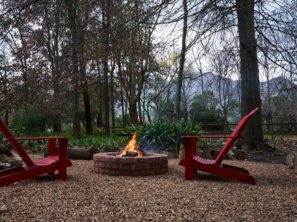 Languedoc Farm Stellenbosch Western Cape South Africa Fire, Nature