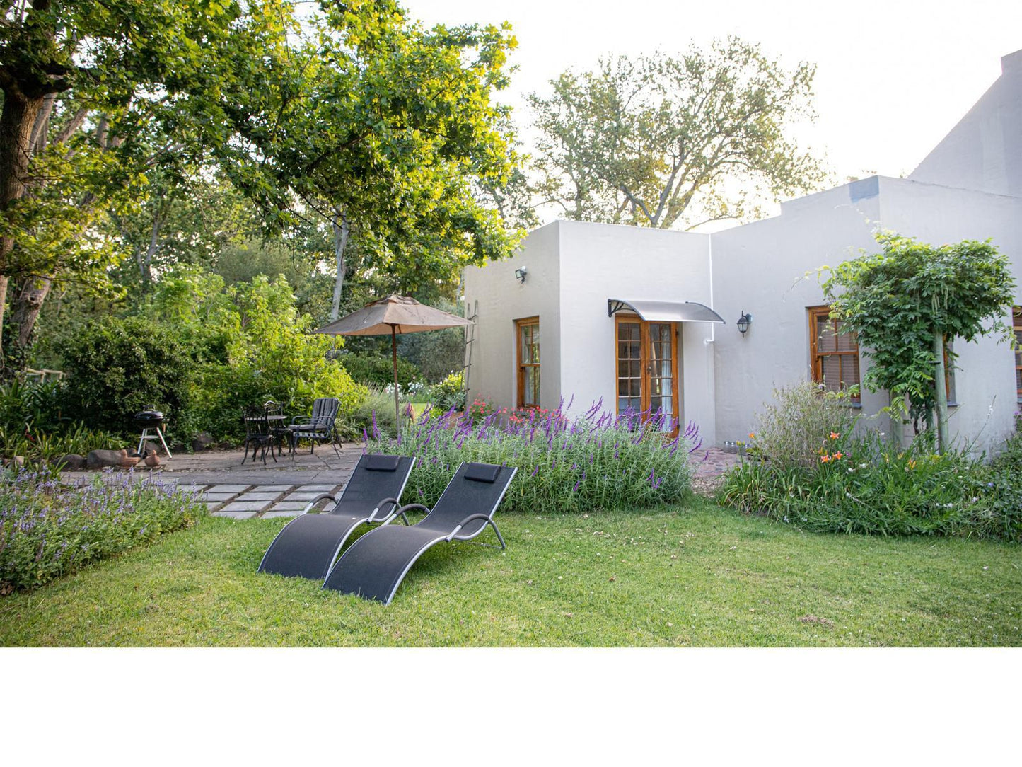 Languedoc Farm Stellenbosch Western Cape South Africa House, Building, Architecture, Garden, Nature, Plant