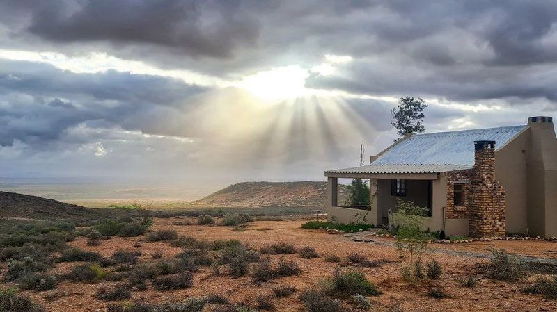 Lankverwacht Guestfarm And Camping Vanrhynsdorp Western Cape South Africa Cactus, Plant, Nature, Desert, Sand, Framing