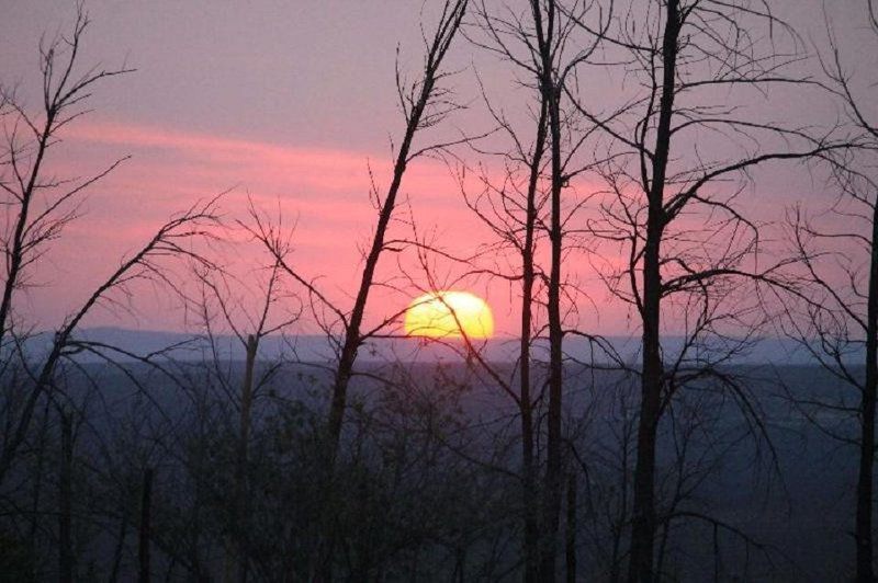 Lankverwacht Guestfarm And Camping Vanrhynsdorp Western Cape South Africa Sky, Nature, Tree, Plant, Wood, Sunset