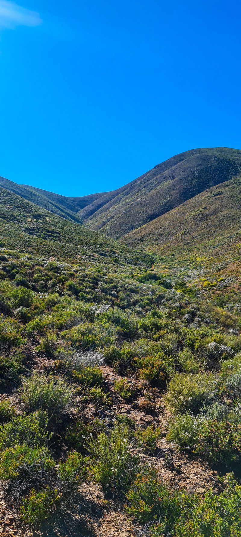 Lankverwacht Guestfarm And Camping Vanrhynsdorp Western Cape South Africa Complementary Colors, Nature