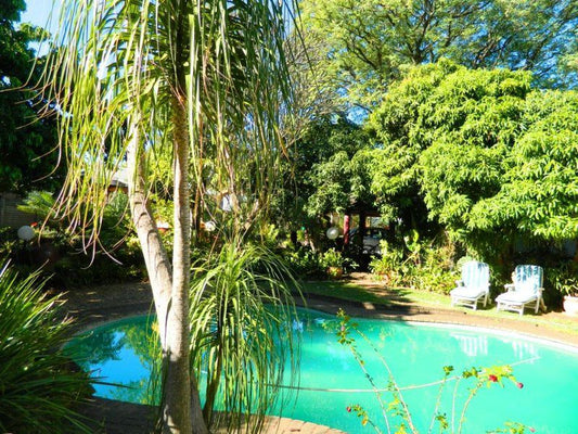 Lantern Guest House Makhado Louis Trichardt Limpopo Province South Africa Palm Tree, Plant, Nature, Wood, Garden, Swimming Pool
