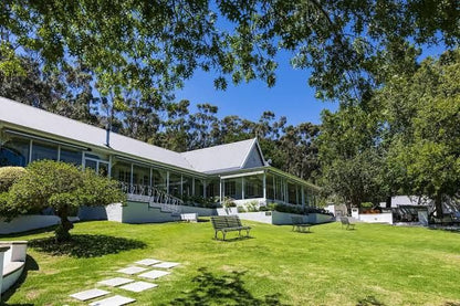 La Petite Ferme Franschhoek Western Cape South Africa House, Building, Architecture, Plant, Nature