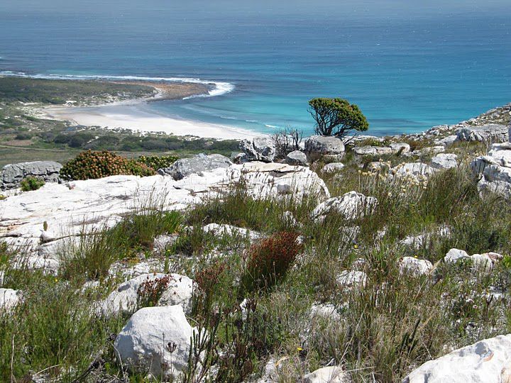 La Playa Scarborough Cape Town Western Cape South Africa Complementary Colors, Beach, Nature, Sand