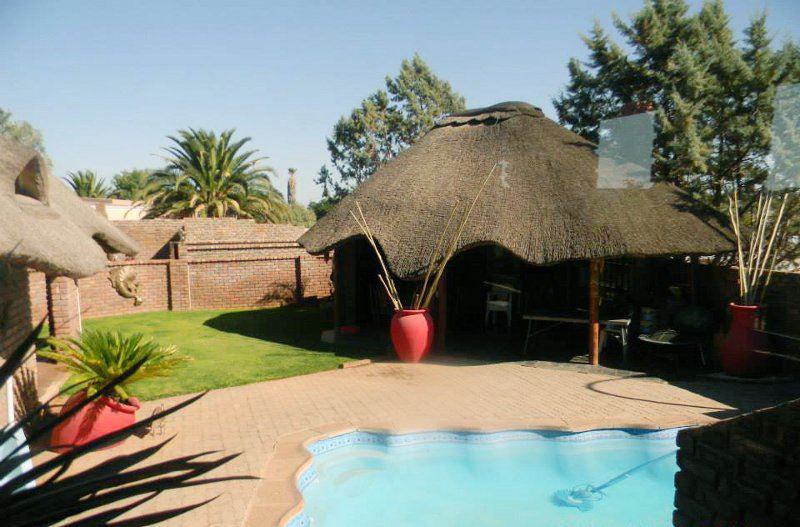 Complementary Colors, Palm Tree, Plant, Nature, Wood, Swimming Pool, La Postma House, Postmasburg, Postmasburg