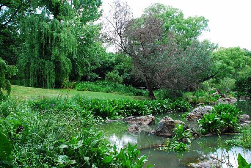 La Provence D Afrique Magaliesburg Gauteng South Africa Plant, Nature, River, Waters, Tree, Wood, Garden