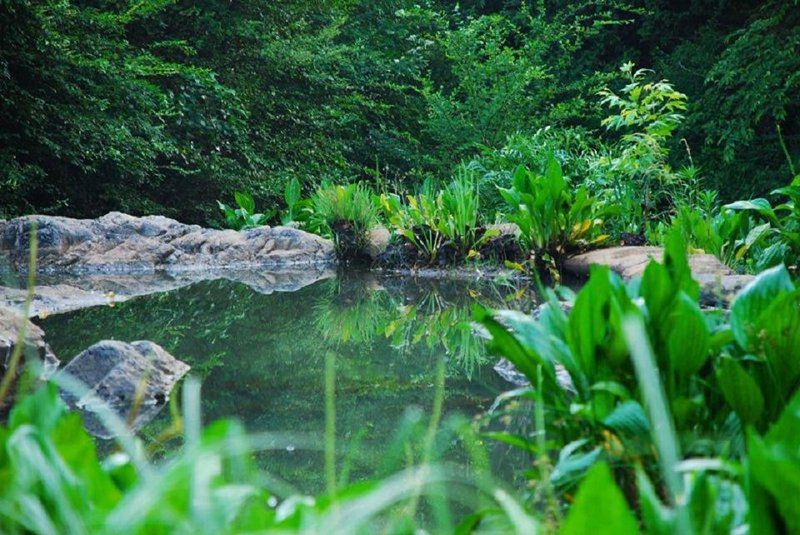 La Provence D Afrique Magaliesburg Gauteng South Africa River, Nature, Waters, Waterfall, Garden, Plant