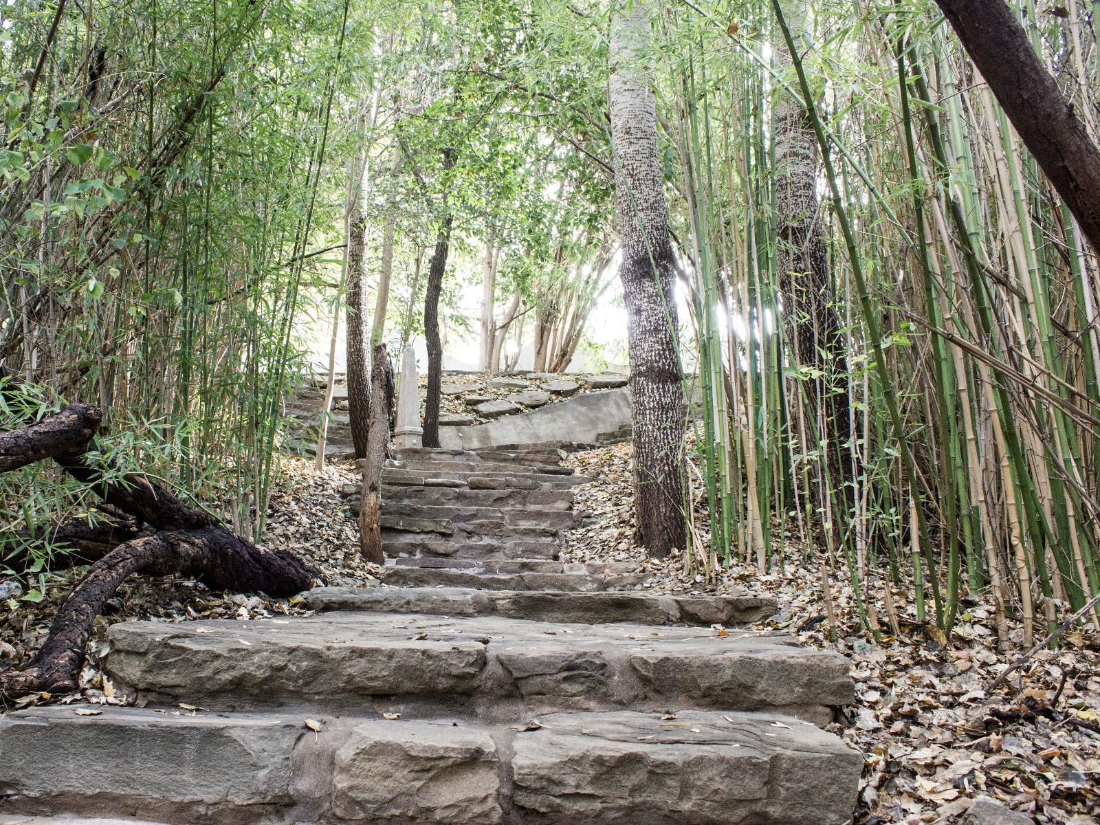 La Riviera Guest House And Spa Aliwal North Eastern Cape South Africa Forest, Nature, Plant, Tree, Wood, Ruin, Architecture