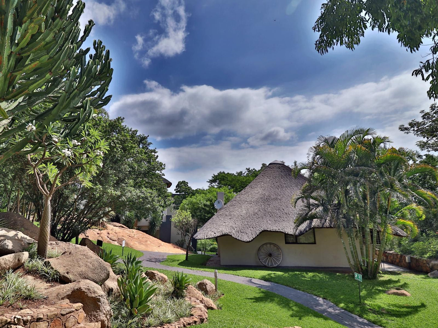 La Roca Guesthouse Nelspruit Mpumalanga South Africa Complementary Colors, Palm Tree, Plant, Nature, Wood