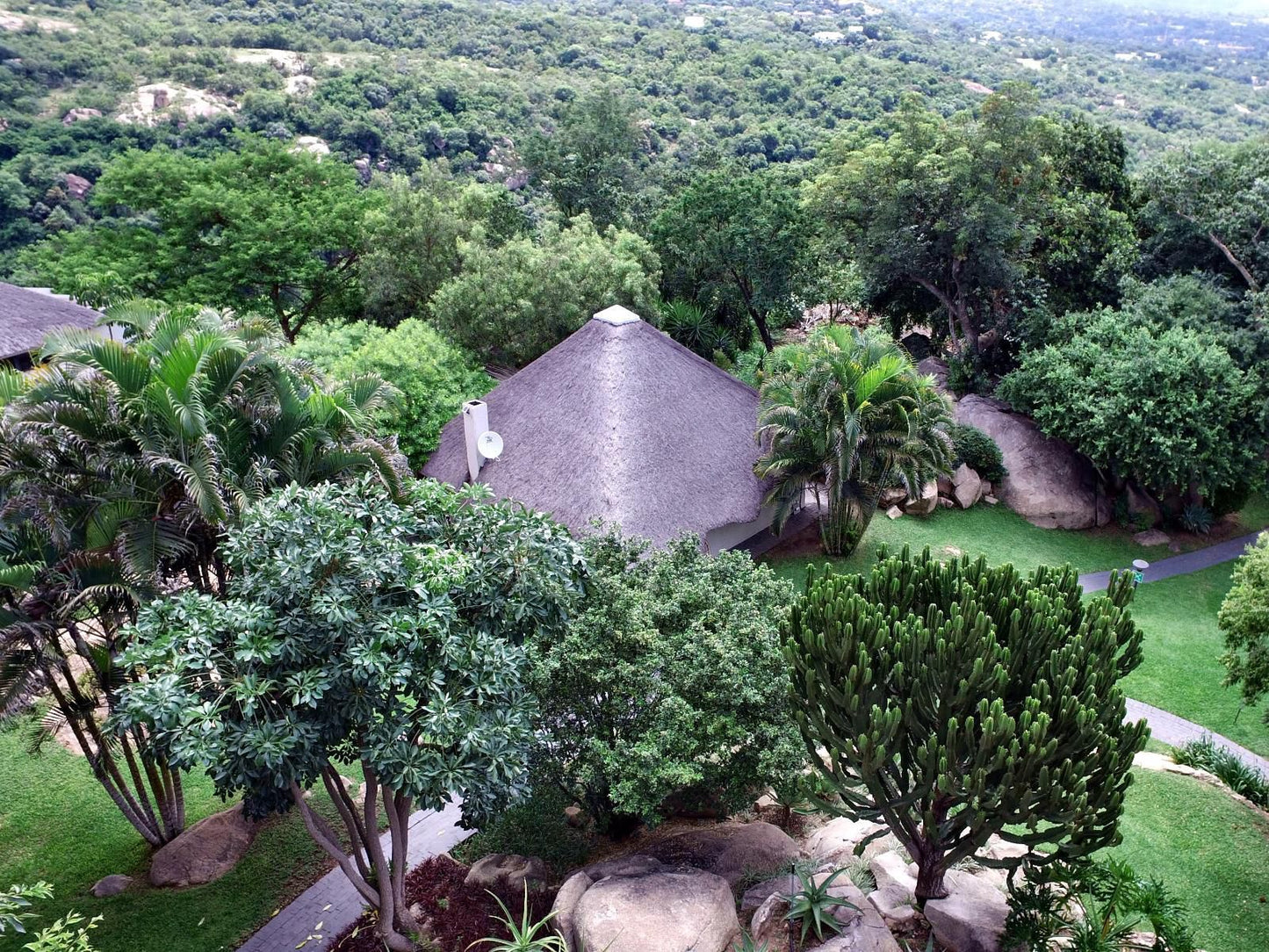 La Roca Guesthouse Nelspruit Mpumalanga South Africa Palm Tree, Plant, Nature, Wood, Garden