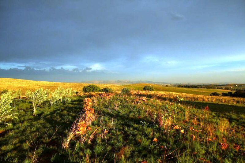 O Live Life Guest House La Rochelle Farm Drumblade De Deur Gauteng South Africa Complementary Colors, Colorful, Field, Nature, Agriculture, Lowland