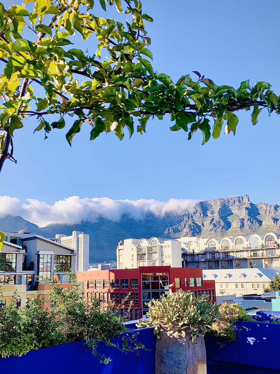 La Rose B And B Cape Town City Centre Cape Town Western Cape South Africa Complementary Colors, Mountain, Nature