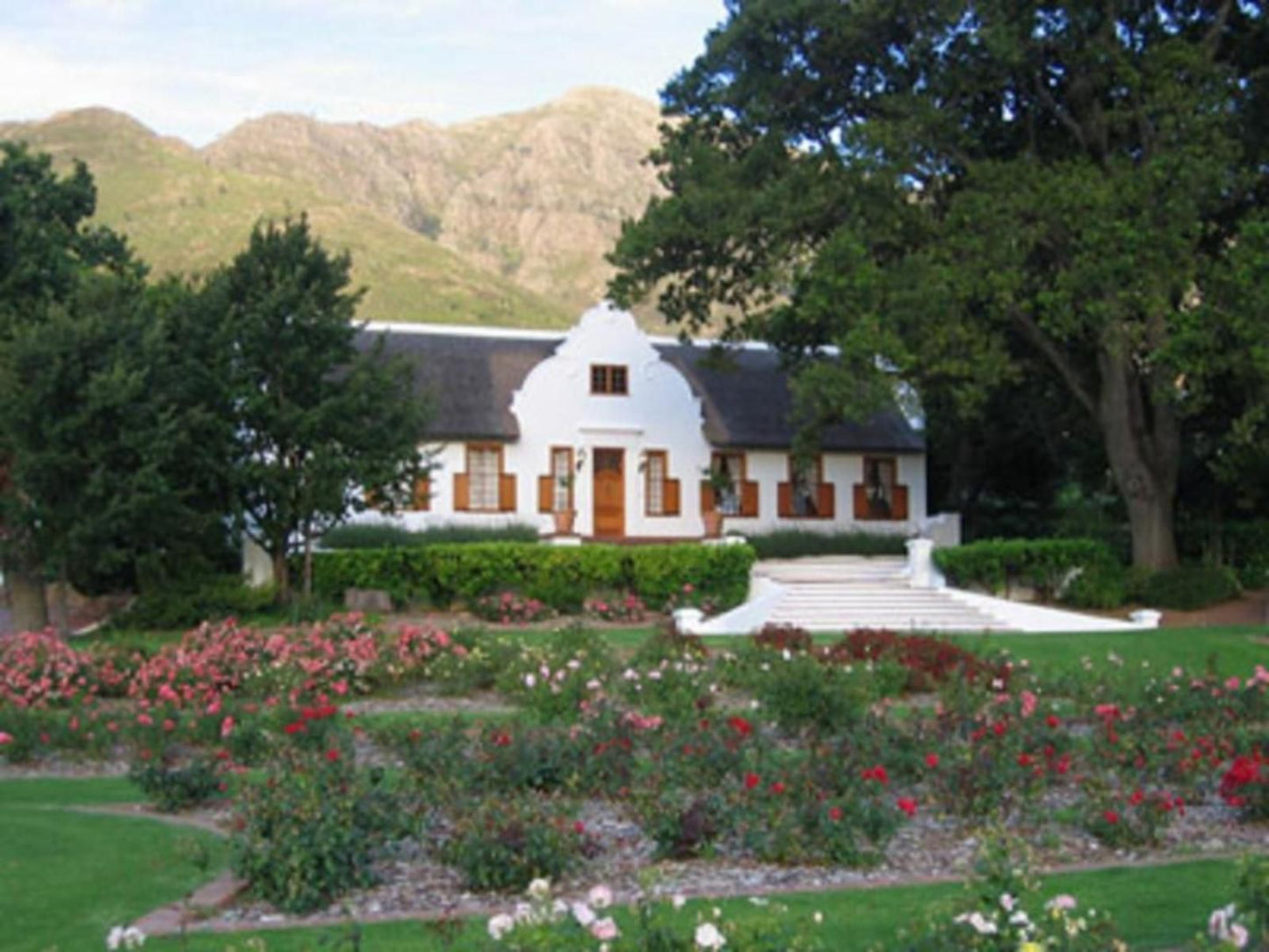 La Terra De Luc Franschhoek Western Cape South Africa House, Building, Architecture, Garden, Nature, Plant