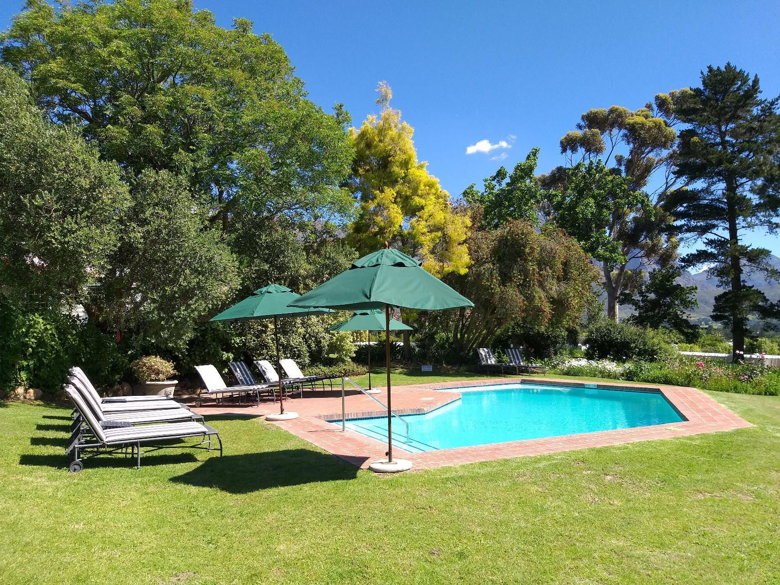 L Auberge Chanteclair Franschhoek Western Cape South Africa Complementary Colors, Garden, Nature, Plant, Swimming Pool