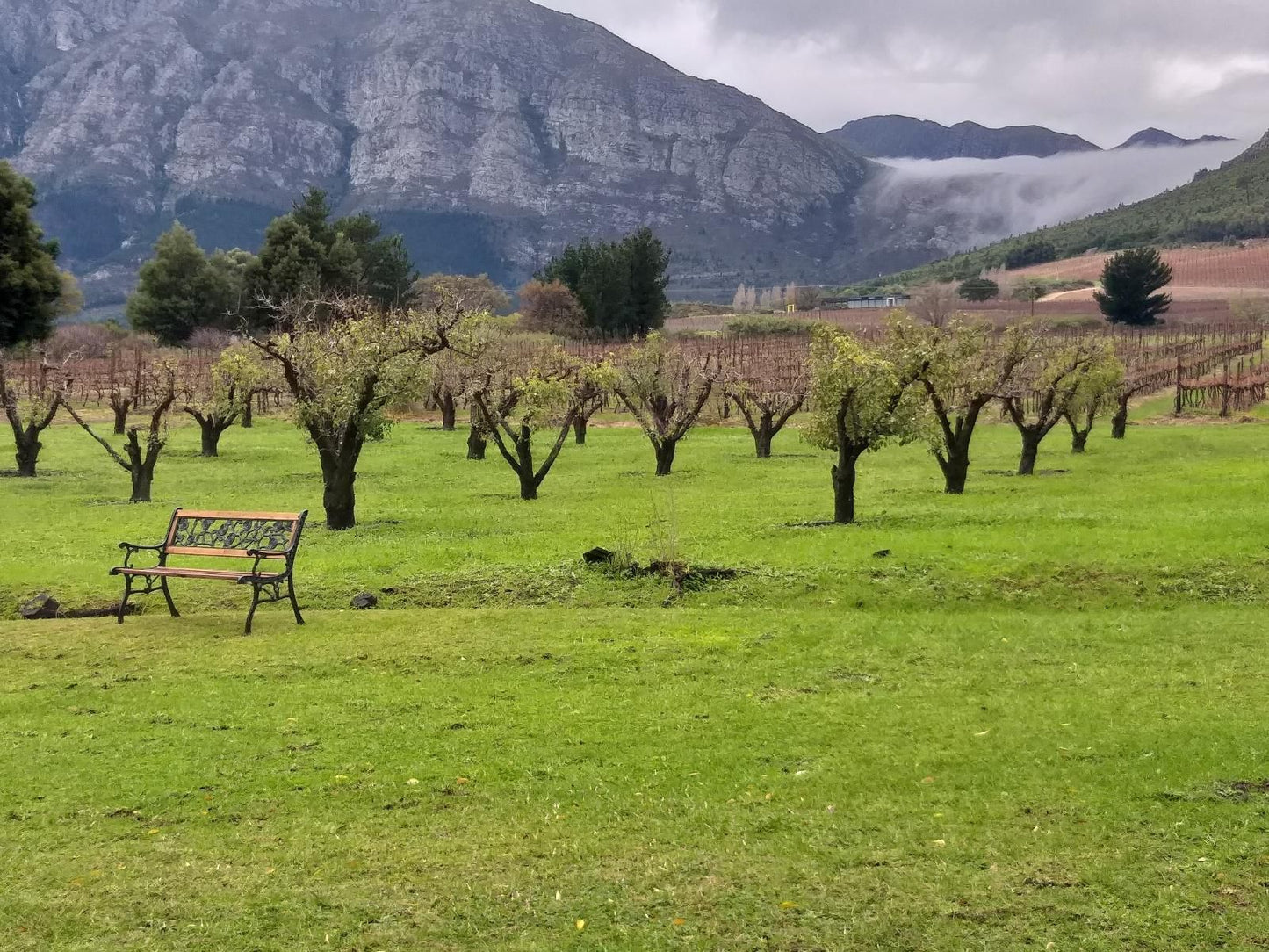 L Auberge Chanteclair Franschhoek Western Cape South Africa Field, Nature, Agriculture, Highland