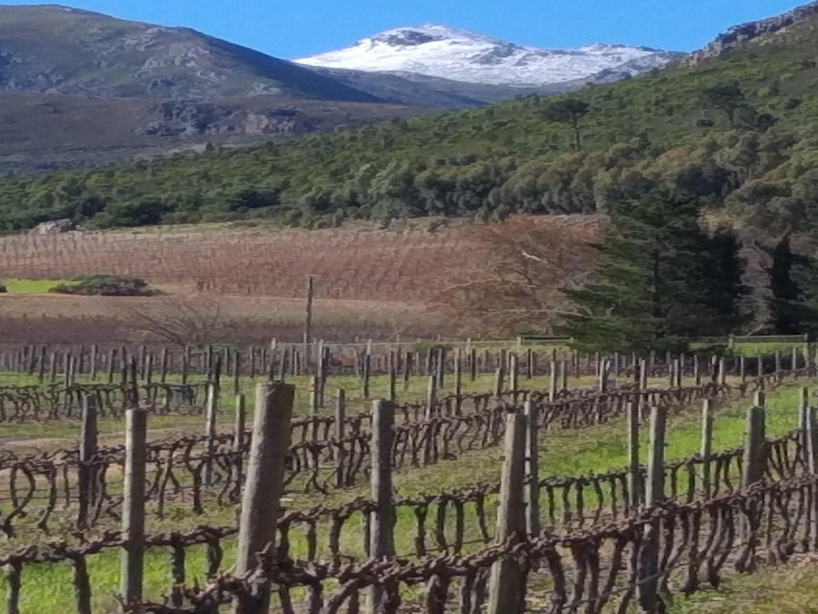 L Auberge Chanteclair Franschhoek Western Cape South Africa Mountain, Nature, Highland