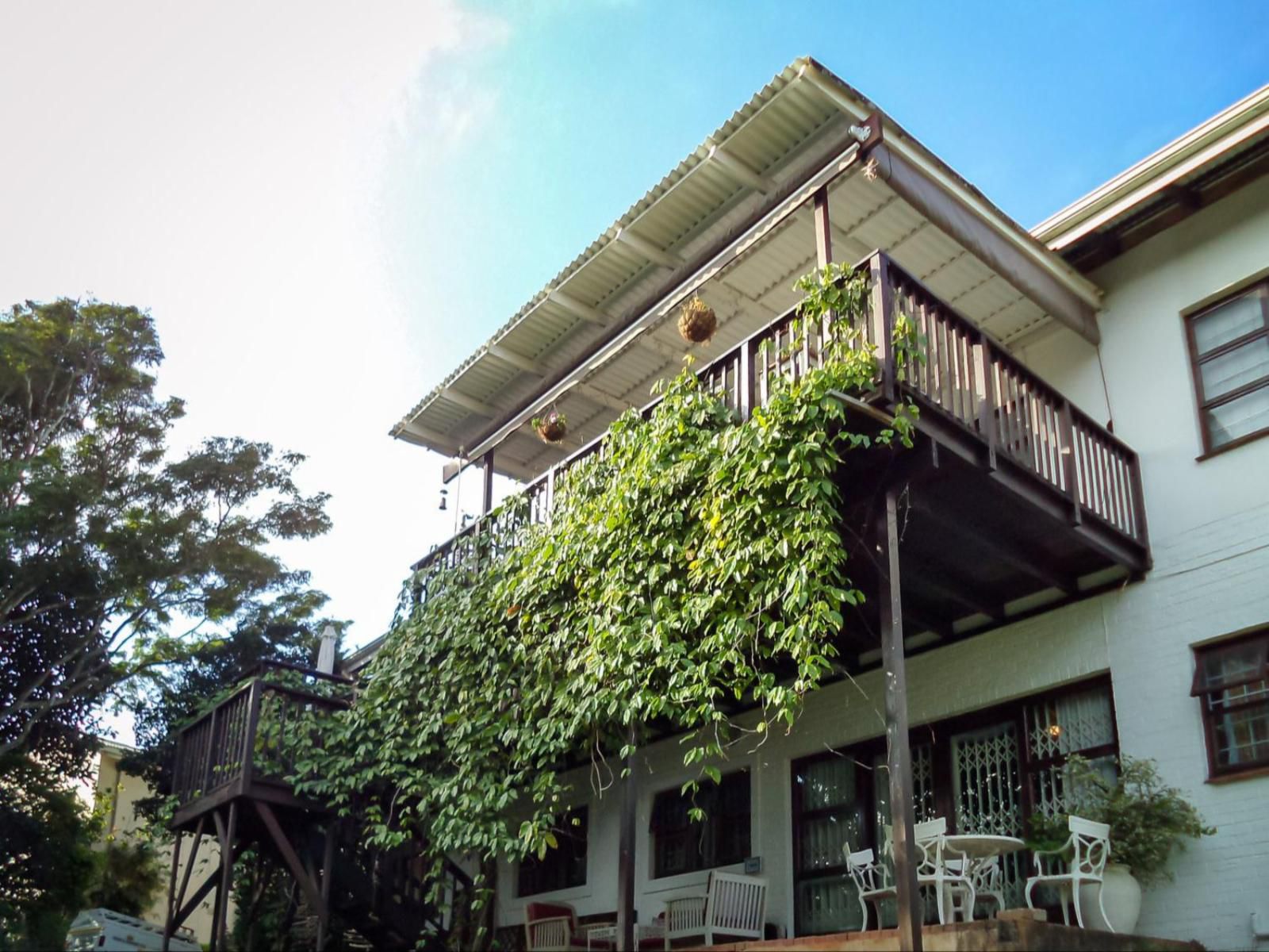 Laughing Gecko Lodge Southbroom Kwazulu Natal South Africa House, Building, Architecture