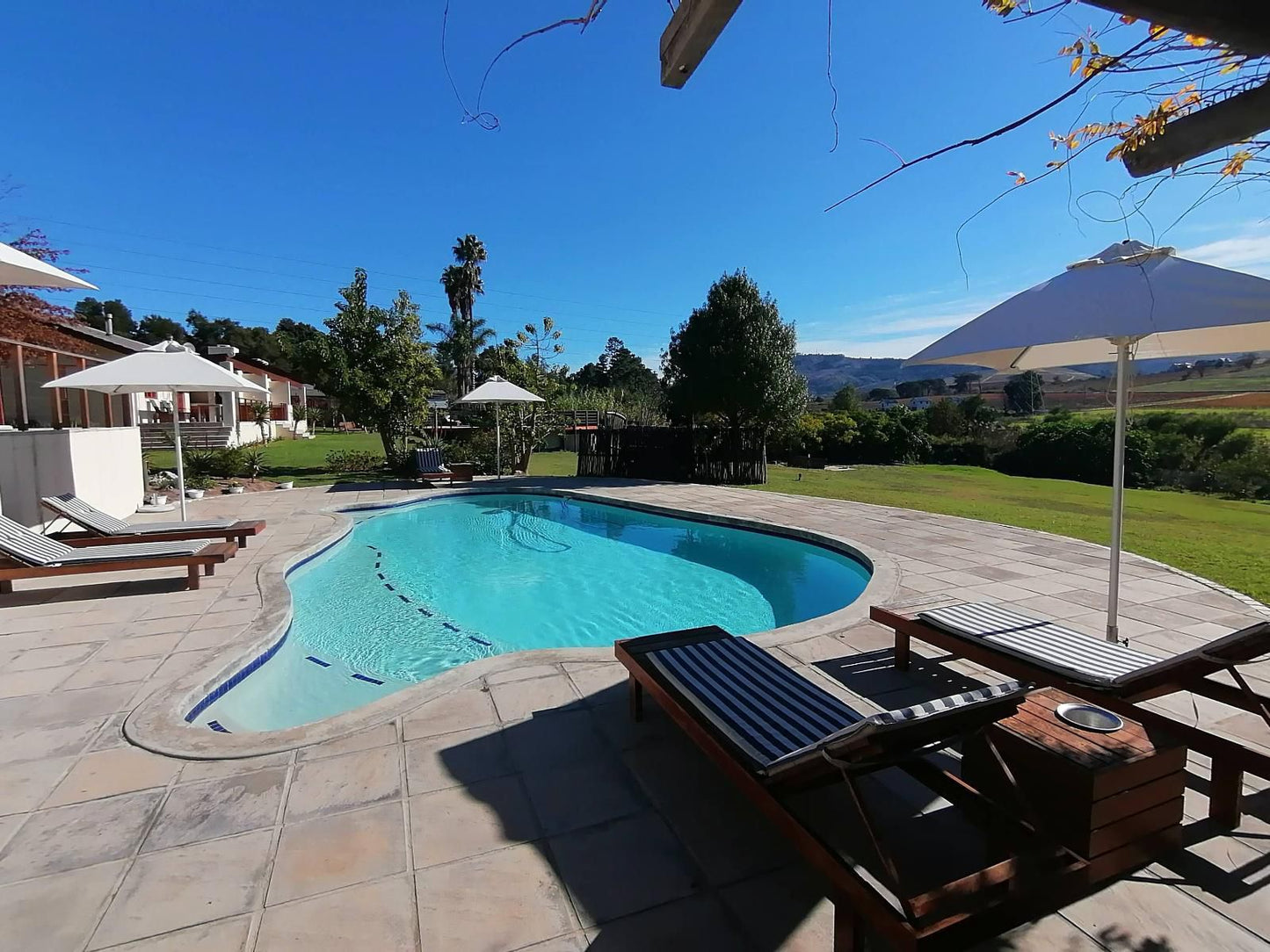 Lauradale Accommodation Lyndoch Stellenbosch Stellenbosch Western Cape South Africa Palm Tree, Plant, Nature, Wood, Swimming Pool