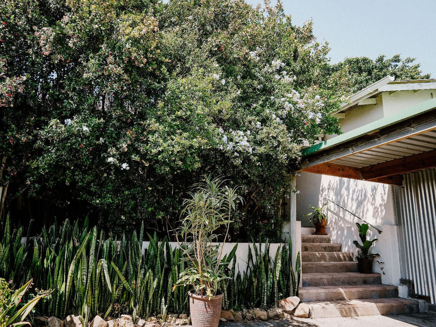 Lavender Bnb, House, Building, Architecture, Plant, Nature, Garden