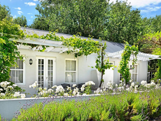 Lavender Farm Guest House Franschhoek Western Cape South Africa House, Building, Architecture, Garden, Nature, Plant