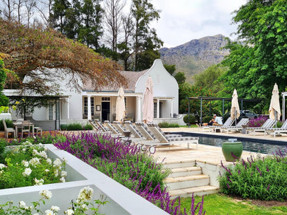 Lavender Farm Guest House Franschhoek Western Cape South Africa House, Building, Architecture, Garden, Nature, Plant