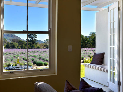 Lavender View Suite @ Lavender Farm Guest House