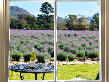 Lavender View Suite @ Lavender Farm Guest House
