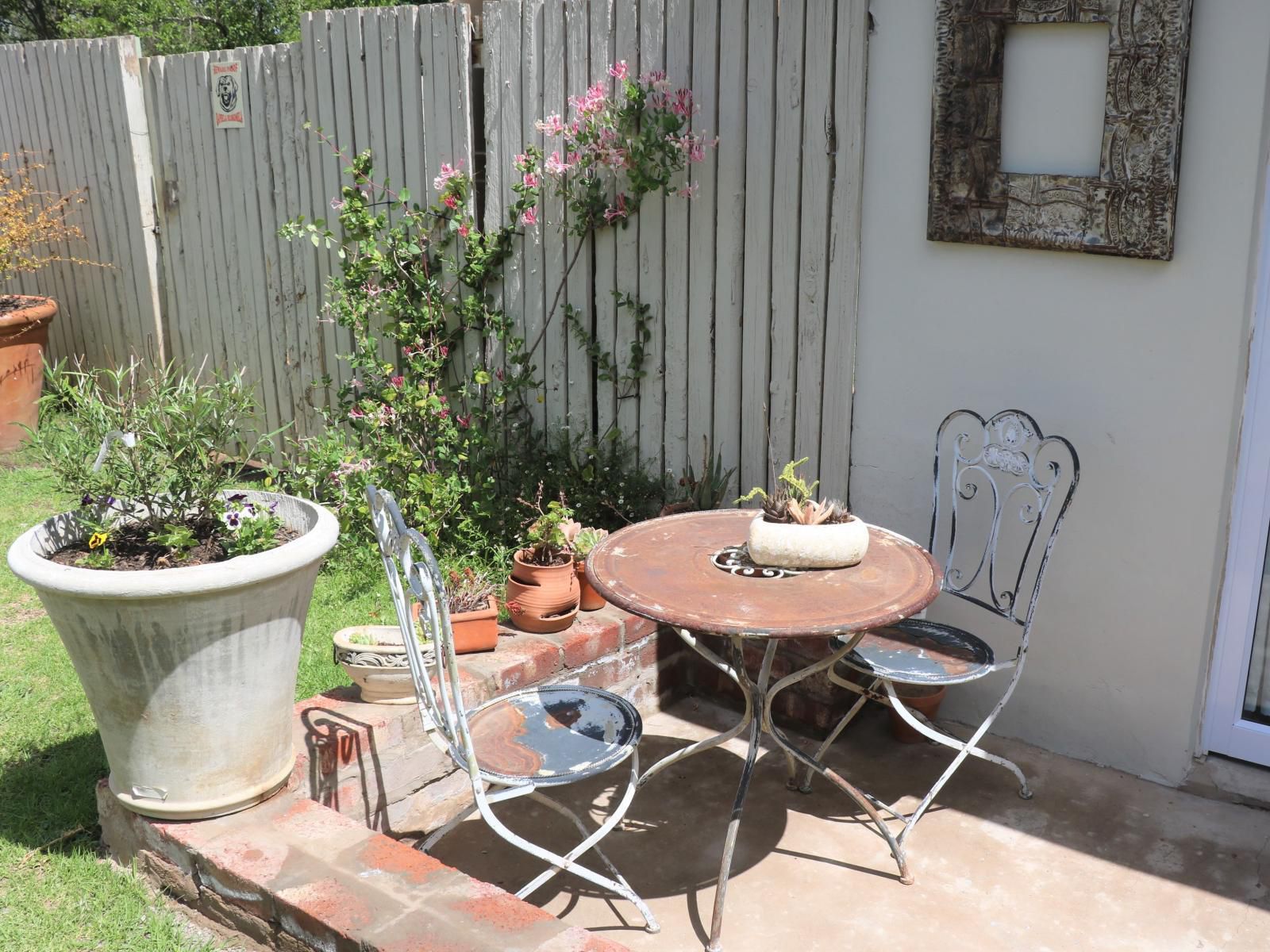 Lavender Lane Queenstown, Place Cover, Food, Garden, Nature, Plant, Living Room