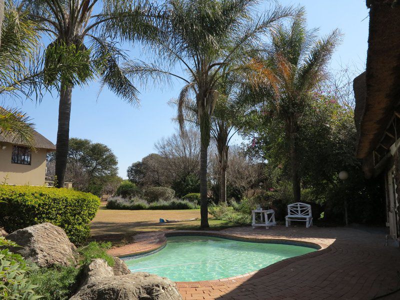 Lavender Lodge Hennops Gerhardsville Centurion Gauteng South Africa Palm Tree, Plant, Nature, Wood, Garden, Swimming Pool