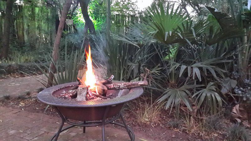 Lavender Lodge Hennops Gerhardsville Centurion Gauteng South Africa Unsaturated, Fire, Nature, Fireplace