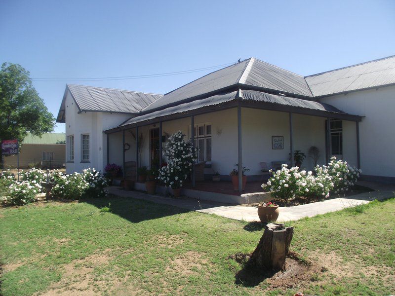 Lavender Rose Bethulie Free State South Africa Complementary Colors, Building, Architecture, House