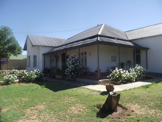 Lavender Rose Bethulie Free State South Africa Complementary Colors, Building, Architecture, House