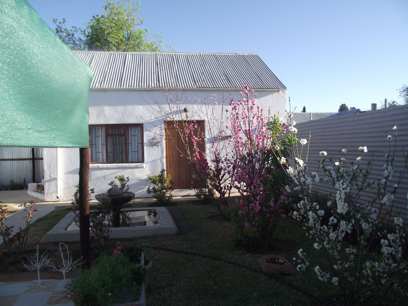 Lavender Rose Bethulie Free State South Africa House, Building, Architecture