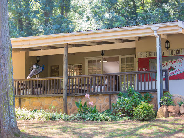 4 Sleeper Holiday Home @ Lavender Trout Guest Farm