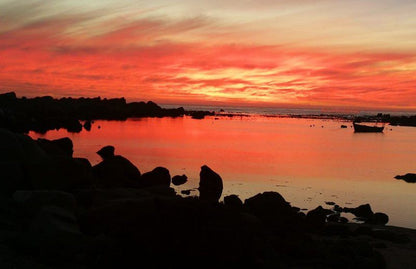 Lavender Jacobs Bay Western Cape South Africa Colorful, Beach, Nature, Sand, Sky, Sunset