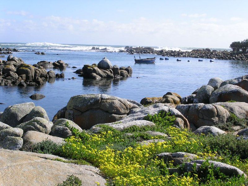 Lavender Jacobs Bay Western Cape South Africa Complementary Colors, Beach, Nature, Sand