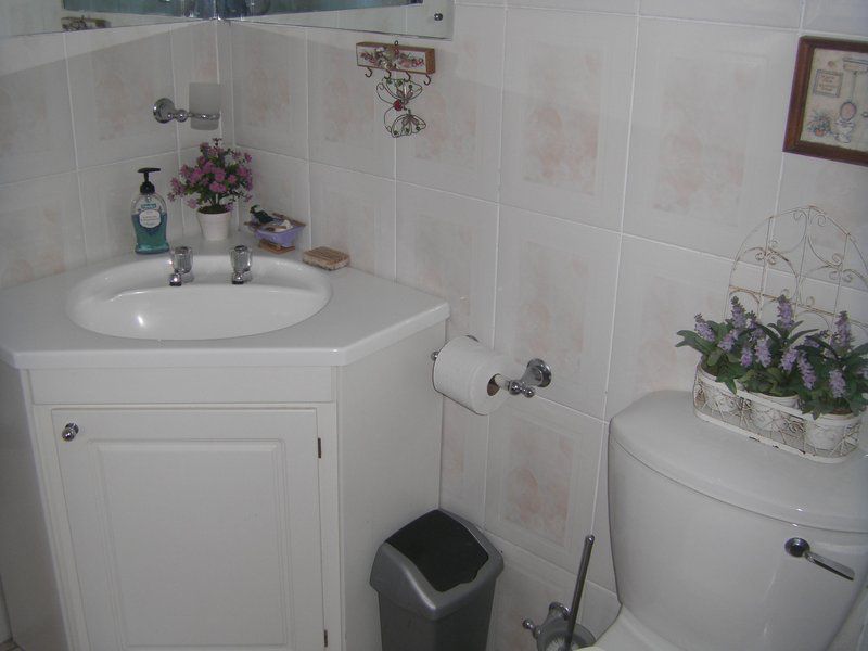 Lavender Jacobs Bay Western Cape South Africa Colorless, Bathroom