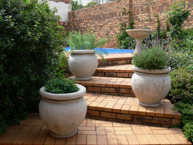 Lavender And Rose Cottage Faerie Glen Pretoria Tshwane Gauteng South Africa Plant, Nature, Brick Texture, Texture, Garden