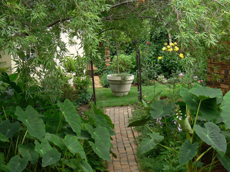 Lavender And Rose Cottage Faerie Glen Pretoria Tshwane Gauteng South Africa Plant, Nature, Garden