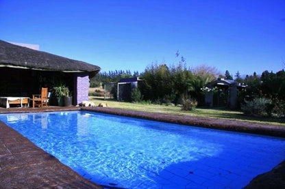 Lavender Leisure Country House Stutterheim Eastern Cape South Africa Swimming Pool