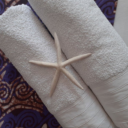 Lavender Room Port Alfred Eastern Cape South Africa Starfish, Marine Animal, Animal, Fabric Texture, Texture