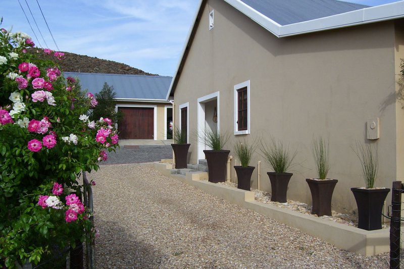 Lavenders Prince Albert Western Cape South Africa House, Building, Architecture, Garden, Nature, Plant