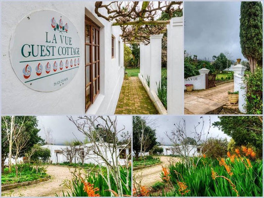 La Vue Guest Cottage Greyton Western Cape South Africa House, Building, Architecture, Palm Tree, Plant, Nature, Wood, Garden