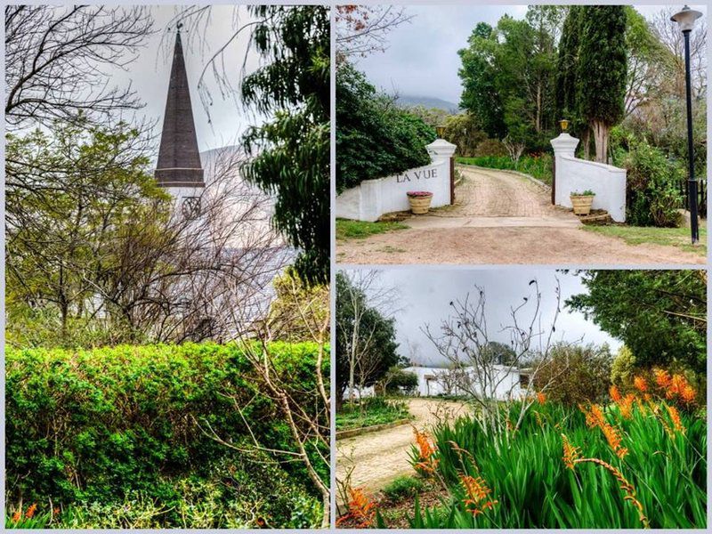 La Vue Guest Cottage Greyton Western Cape South Africa Plant, Nature, Garden