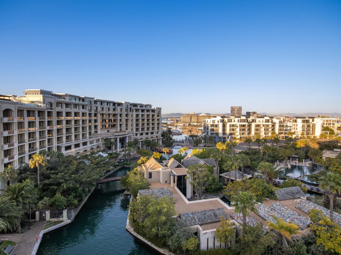 Lawhill Luxury Apartments V And A Waterfront Cape Town Western Cape South Africa Palm Tree, Plant, Nature, Wood, River, Waters, Skyscraper, Building, Architecture, City