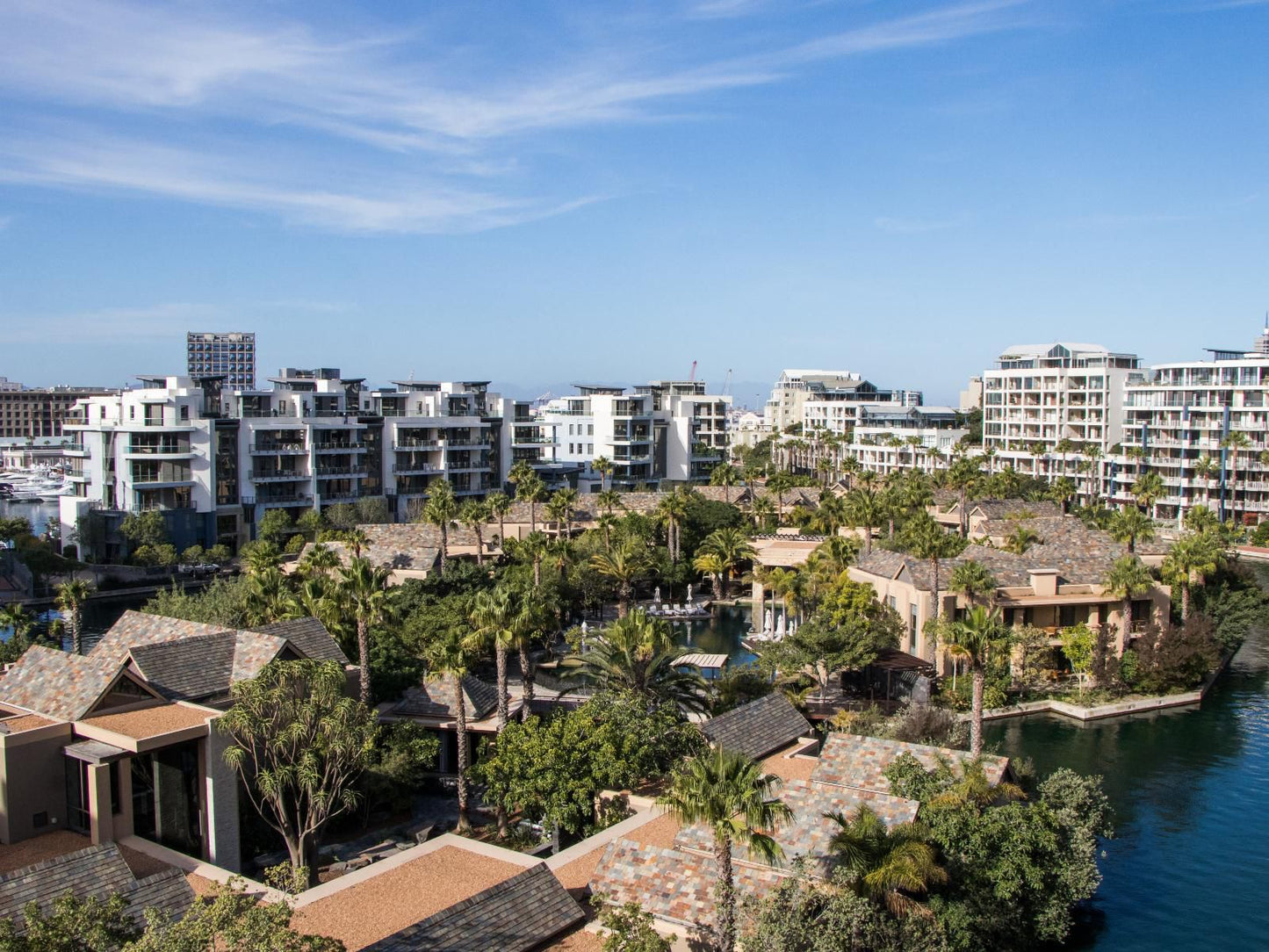 Lawhill Luxury Apartments V And A Waterfront Cape Town Western Cape South Africa Complementary Colors, Palm Tree, Plant, Nature, Wood