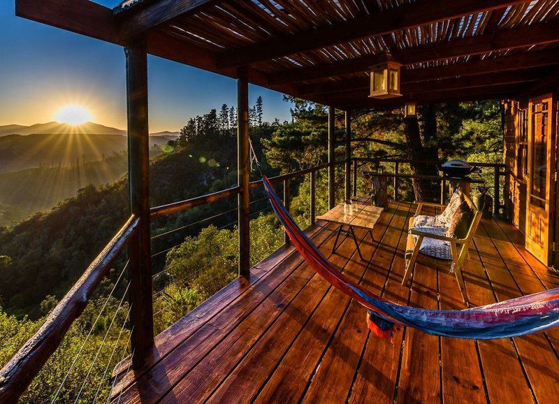 Lazy Leopard Forest Retreat Rheenendal Knysna Western Cape South Africa 