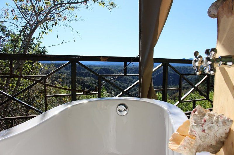 Lazy Leopard Forest Retreat Rheenendal Knysna Western Cape South Africa 