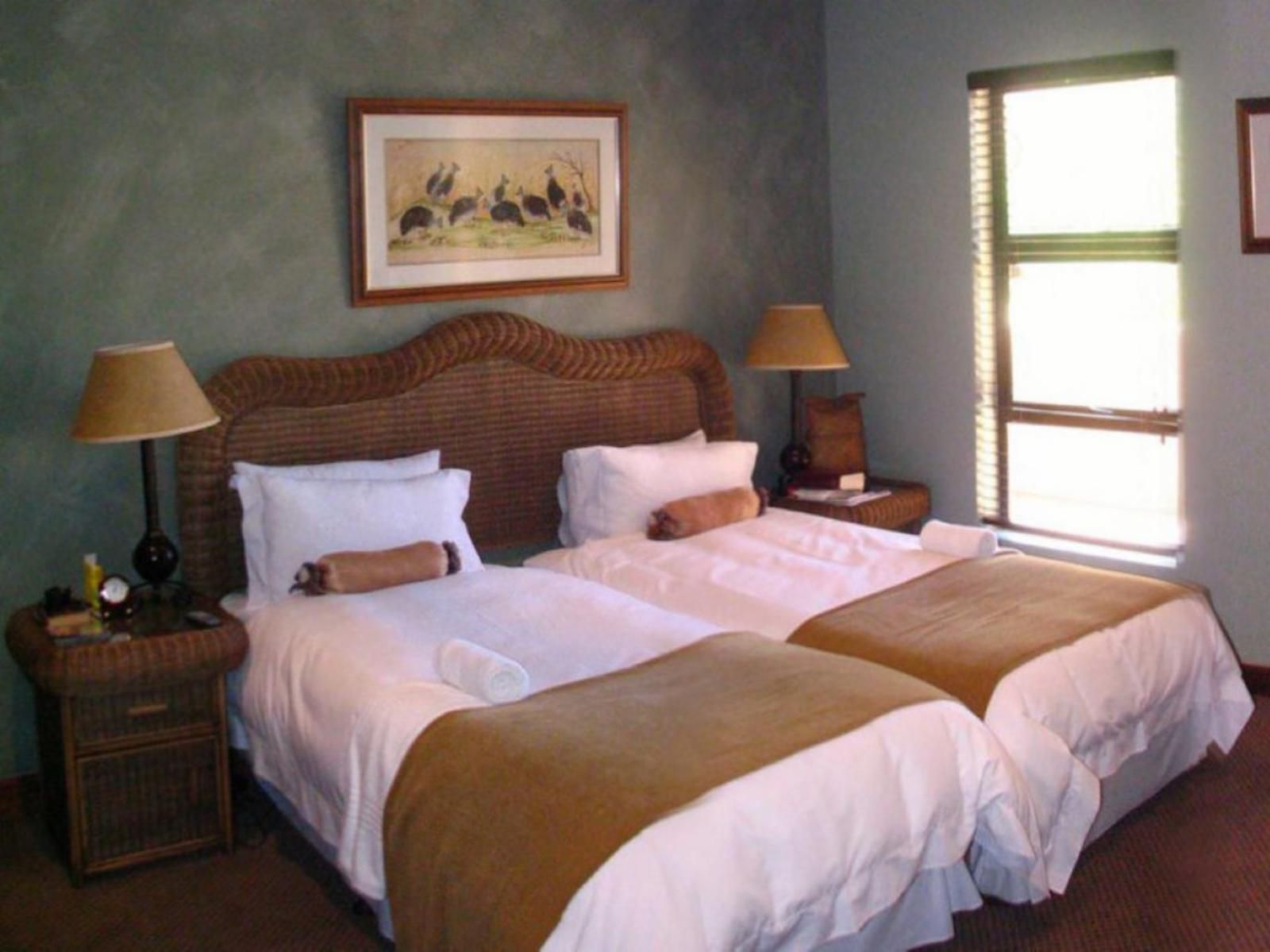 Lazy Lizard Guest House Park West Bloemfontein Free State South Africa Bedroom